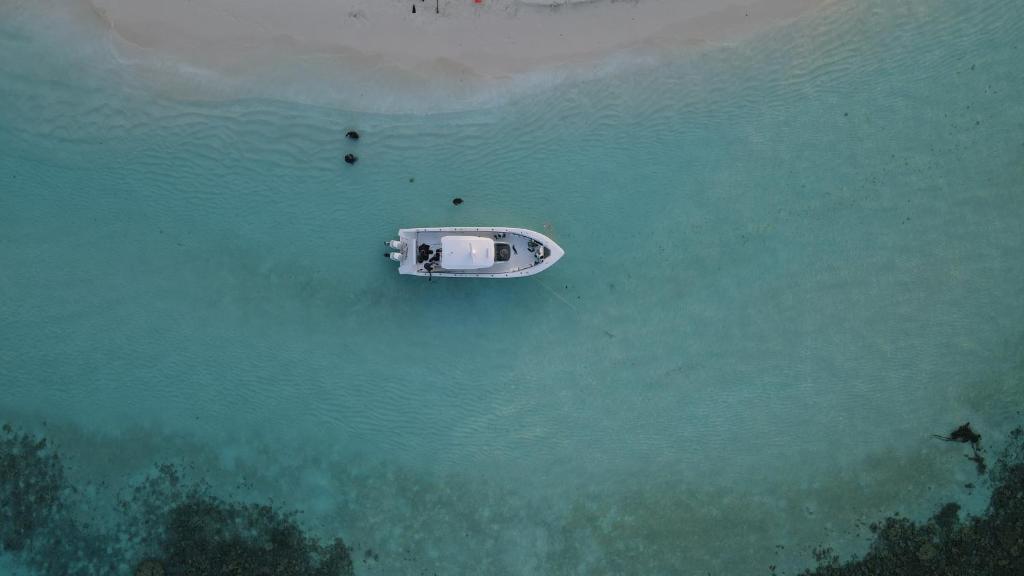 Loodusmaastik paatelamu lähedal