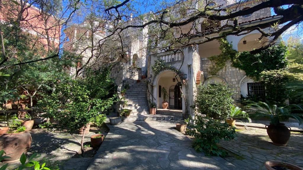 Zahrada ubytování Luxury Hotel Dubrava Budva