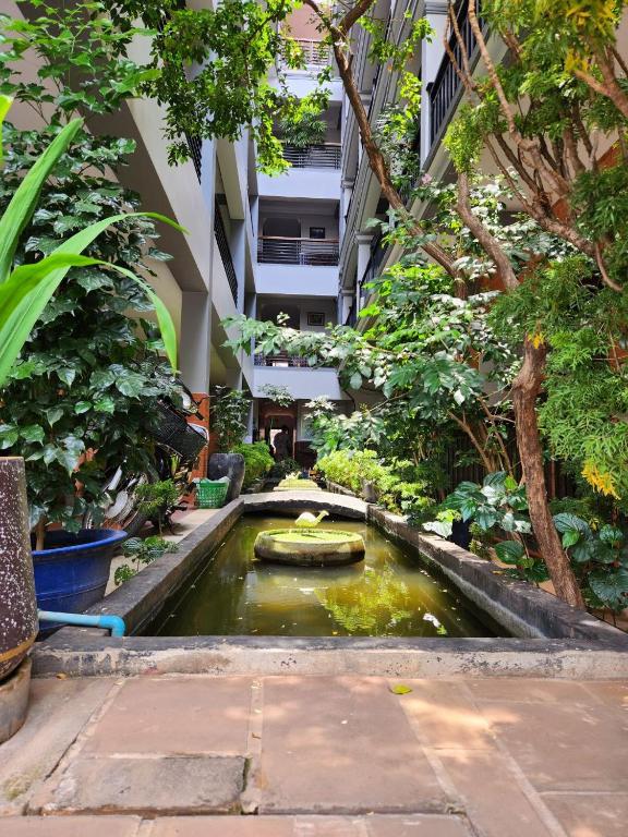 Zahrada ubytování Jasmine Lodge Siem Reap