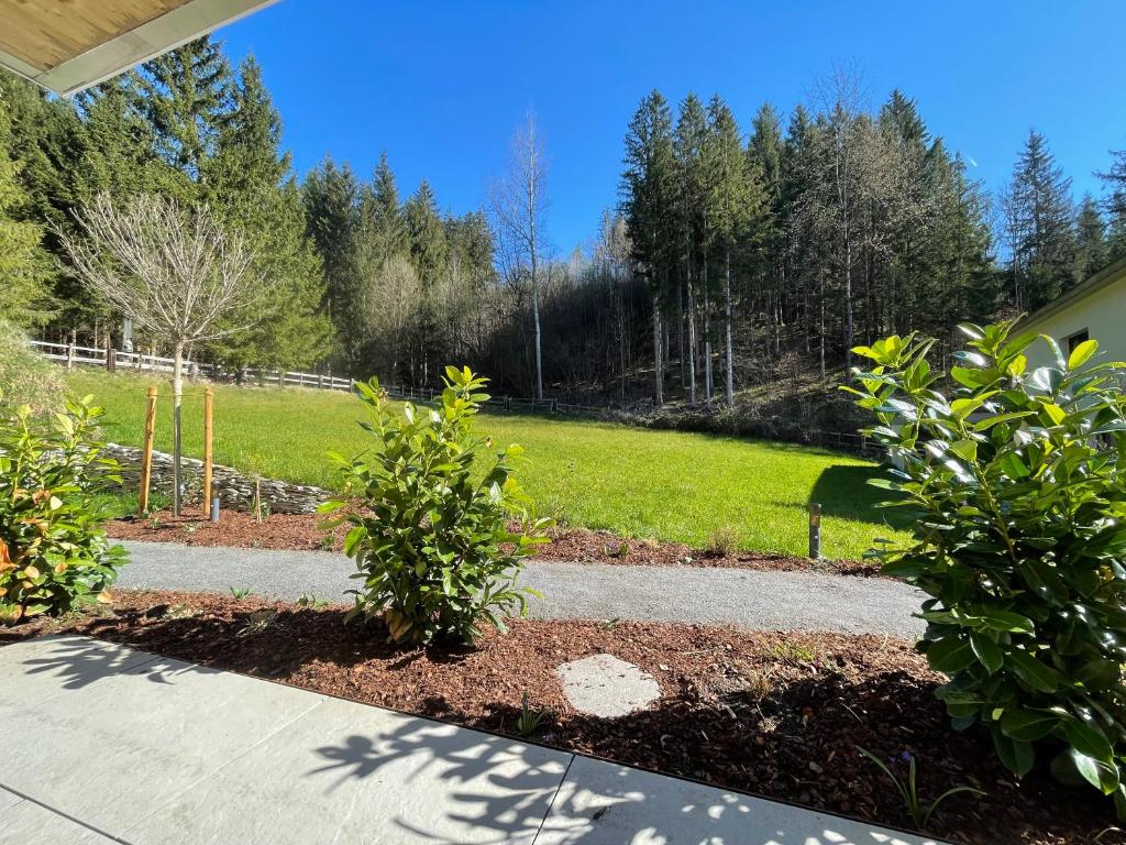 Waldblick - Neubau - Self-Check-In - kein Verkehr - am Wald - Parkplätze vor Tür - apartment or double room - 8