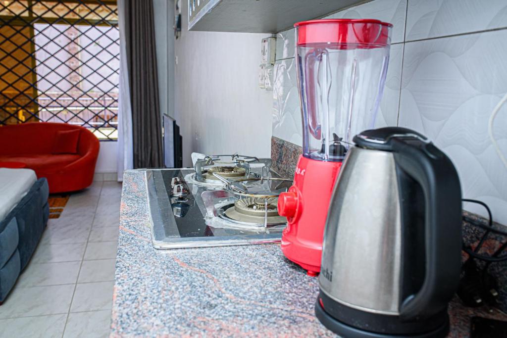 Příslušenství pro přípravu čaje a kávy v ubytování Antonia's Charming Studio