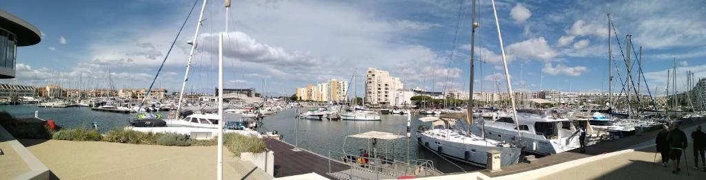 un groupe de bateaux amarrés dans un port dans l'établissement Appartement Spacieux 2 chambres, 4 personnes, Terrasse Vue Port , WIFI gratuit et Parking privé gratuit, lave linge, congélateur, situé près de la plage, commerces, marché et restaurants, à Carnon-Plage