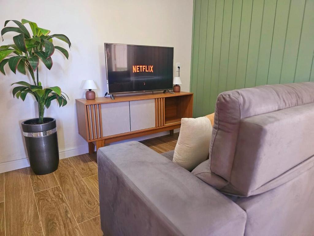 ein Wohnzimmer mit Sofa und Fernseher in der Unterkunft Melhor cervejaria do Brasil e a Serra te esperam! in Orleans