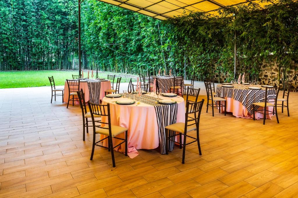 Zahrada ubytování Capital O Hotel Central, Xalapa