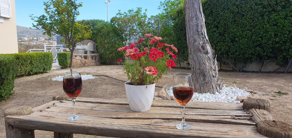 two glasses of wine and a vase of flowers on a wooden table at Jasmine Home, Aegina City in Aegina Town