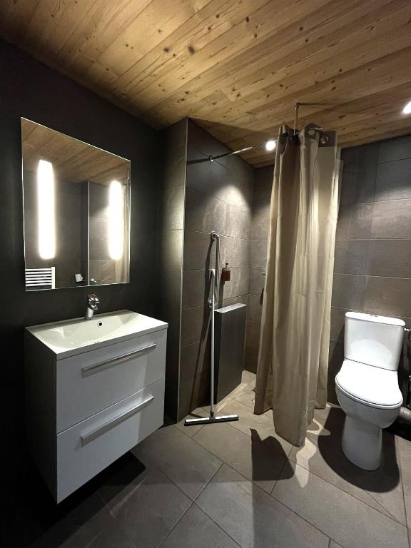 a bathroom with a toilet and a sink and a shower at Hillary Hotel in Les Menuires