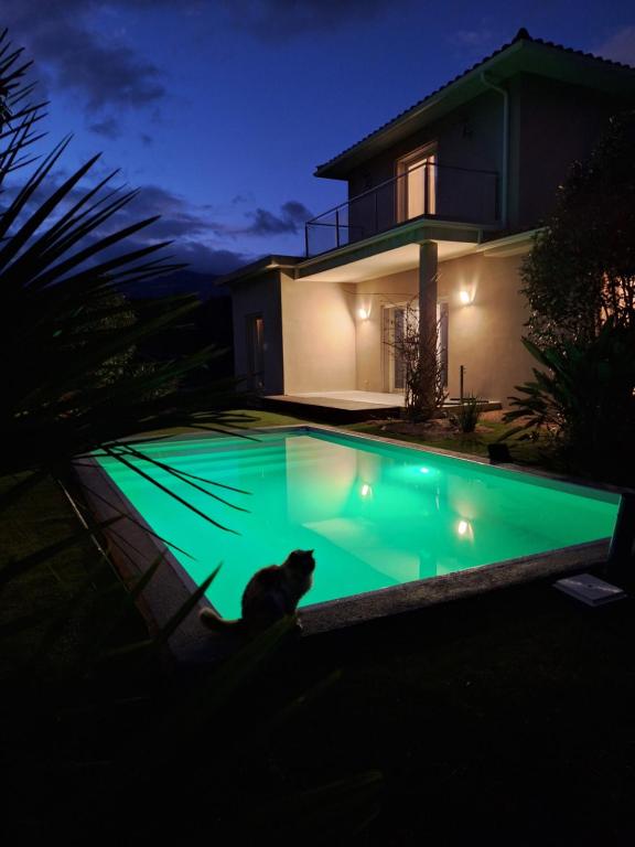 un chat assis en face d'une piscine la nuit dans l'établissement Villa 130 m2 dans domaine privé aux pierres roses, à Porto-Vecchio