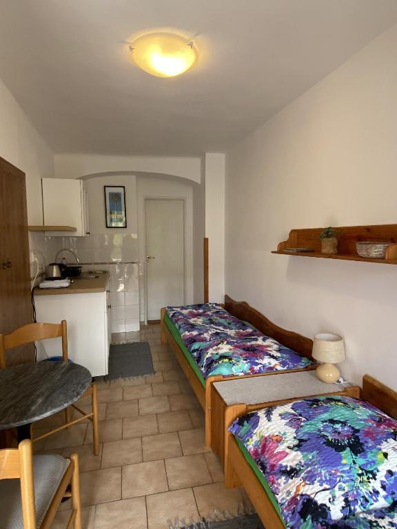Kuchyň nebo kuchyňský kout v ubytování Pension Hamry