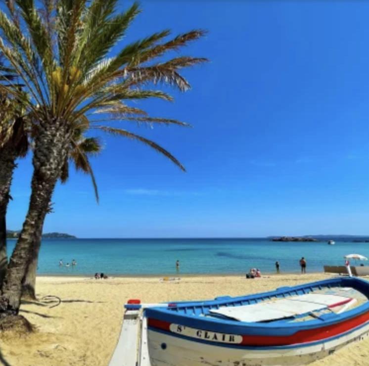 ル・ラヴァンドゥーにあるAPPARTEMENT ET SA JOLIE TERRASSE Le Lavandou Saint Clair, a deux pas de la plage de St Clair, au calme, Studio tout équipé, clim, Wifi Fibre, TV connectée, lave linge, lave vaisselle, place de parking et plus, serviettes et draps fournisのヤシの木の横の海岸船