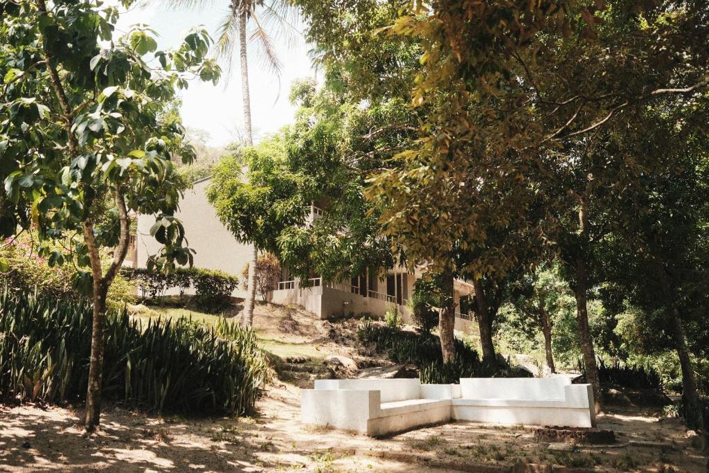 Zahrada ubytování Hotel Hukumeizi Minca