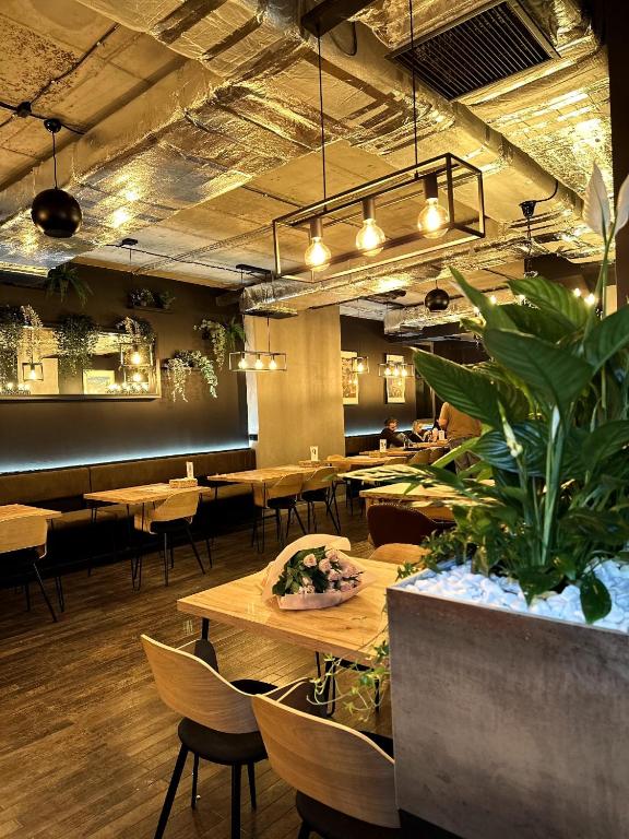 Great Polonia Kraków Kazimierz - Resim 8