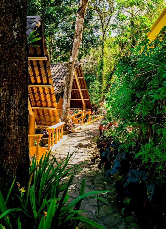 Un jardín fuera de Hotel Refugio Cariguana