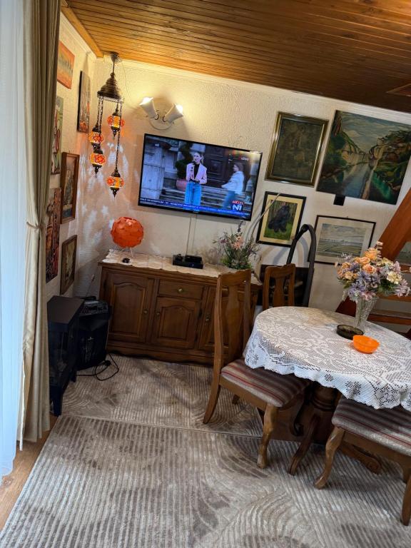 TV a/nebo společenská místnost v ubytování Forest Home