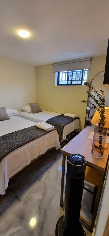 Postel nebo postele na pokoji v ubytování Hotel RUTA365