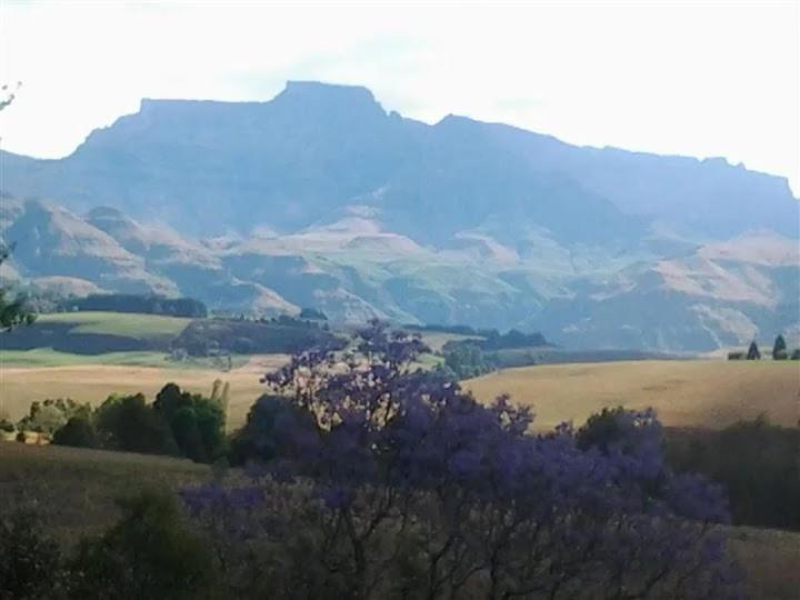 ein Feld mit lila Bäumen und Bergen im Hintergrund in der Unterkunft Annasrus Mountain Cottage in Champagne Valley