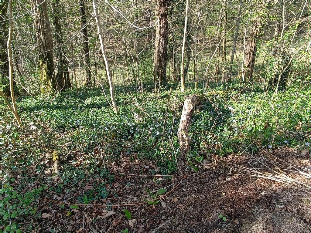 Příroda nedaleko apartmánu