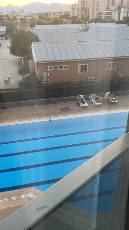 two dogs sitting on lounge chairs next to a swimming pool at Smart Apartment in Antalya