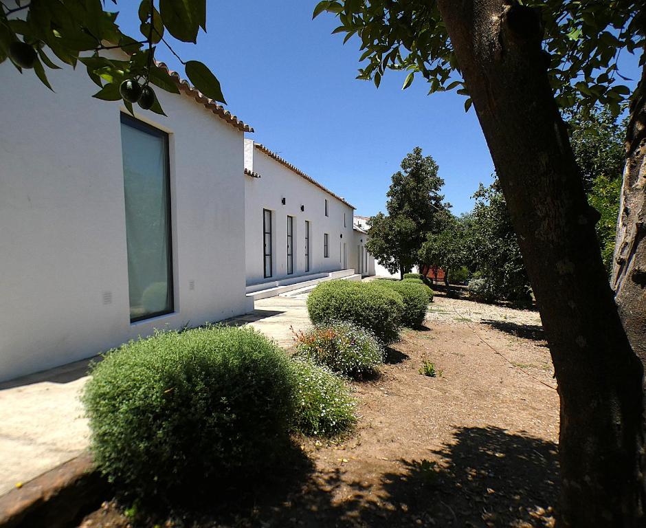 Κήπος έξω από το Casa do Tanque