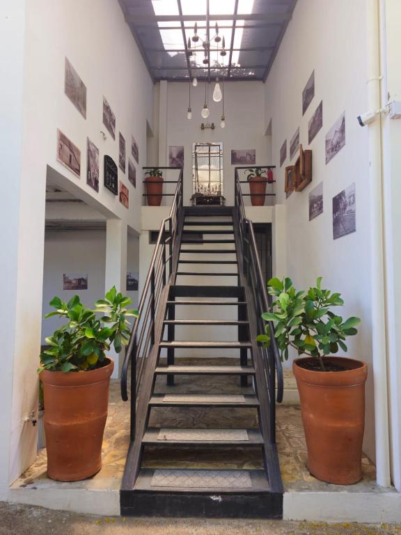 a staircase in a room with potted plants at Nica Valley in Rivas
