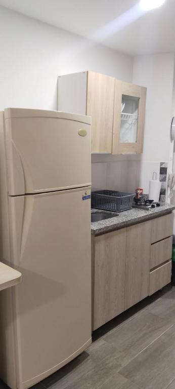 Kuchyň nebo kuchyňský kout v ubytování ApartaHotel Norte Armenia