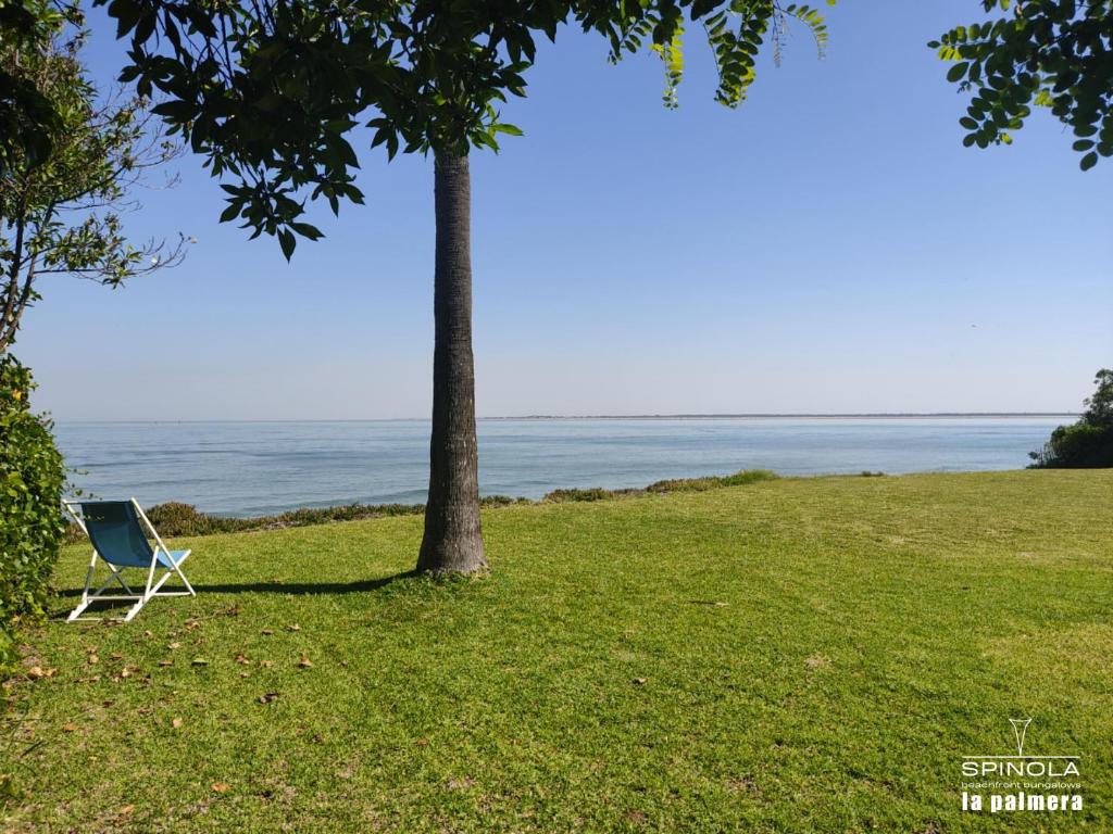 una silla sentada bajo un árbol en un campo en Spinola Beachfront Bungalows - Apartamentos bungalow en primera linea de playa en Sanlúcar de Barrameda, en Sanlúcar de Barrameda