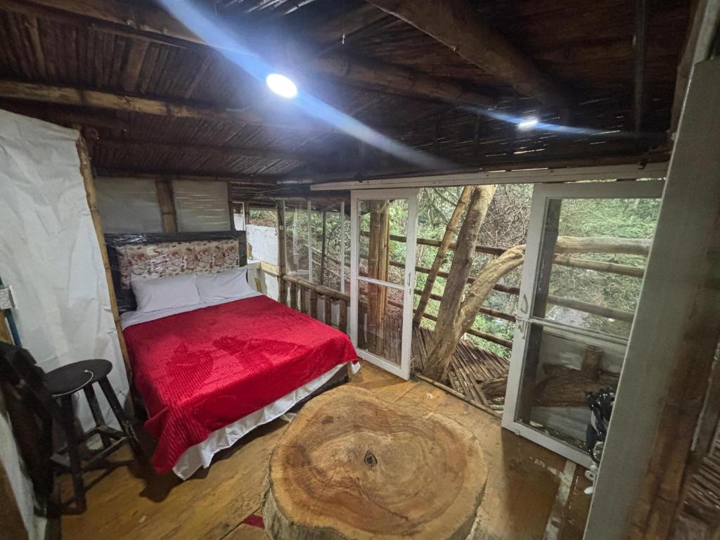 Postel nebo postele na pokoji v ubytování Tekoa