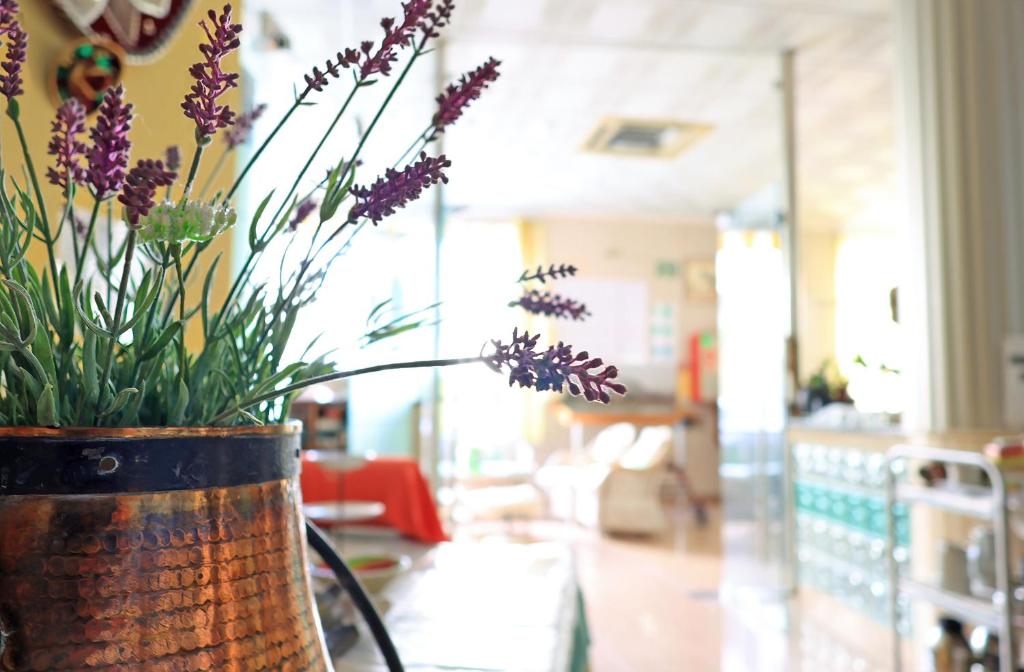 Posezení v ubytování Agusti Hostal