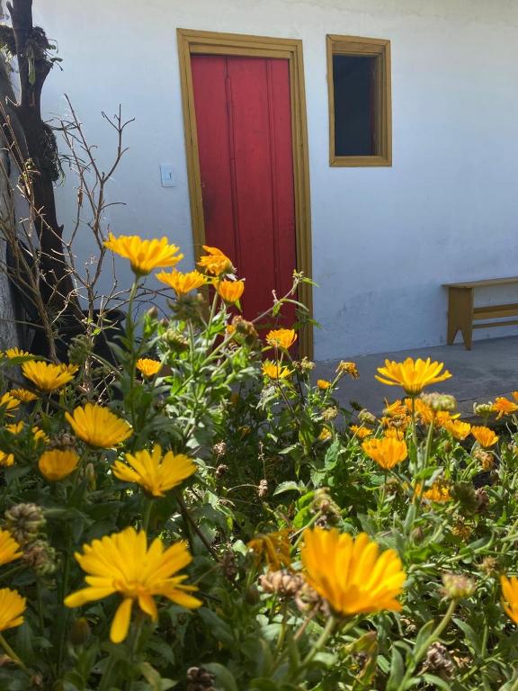 Garður fyrir utan El Hostal del Abuelo