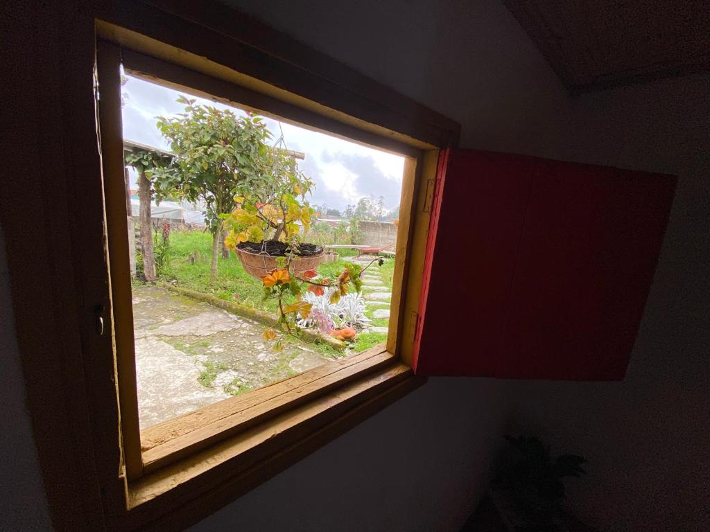 Garður fyrir utan El Hostal del Abuelo