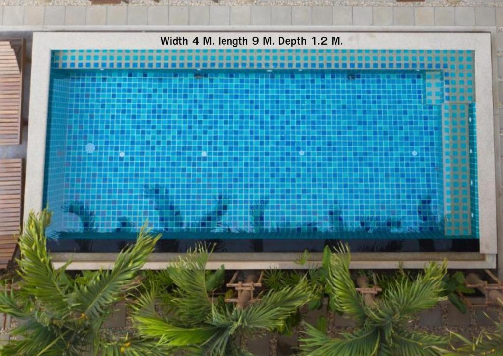A narrow rectangular swimming pool viewed from above, bordered by tropical plants.