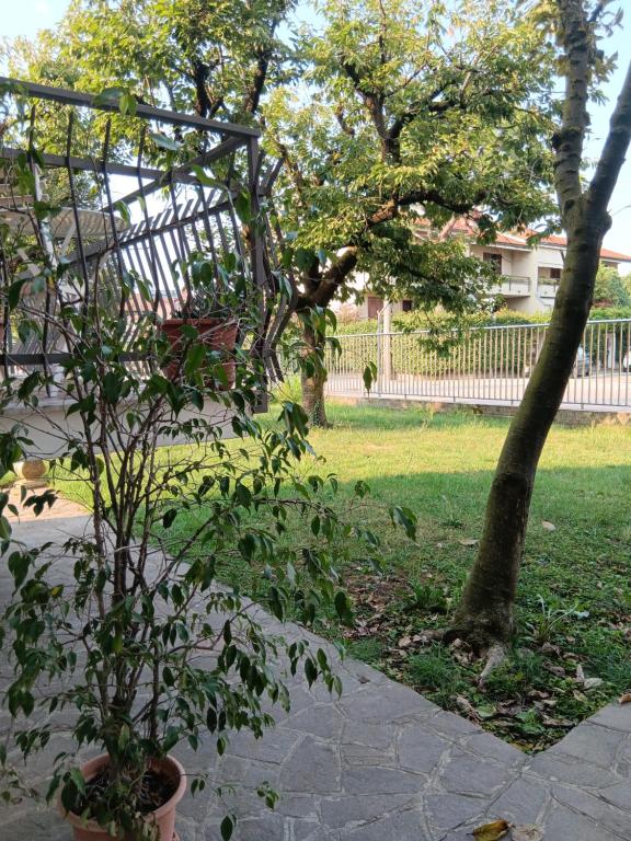 Zahrada ubytování LaelleApartament Rho Fiera San Siro