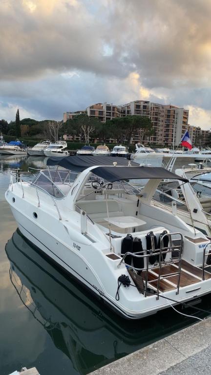 un bateau blanc est amarré dans un port dans l'établissement Hannaboat, à Mandelieu-la-Napoule