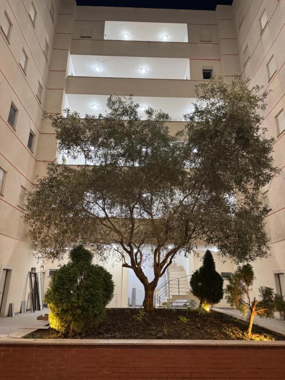 Relax Apartments Golem