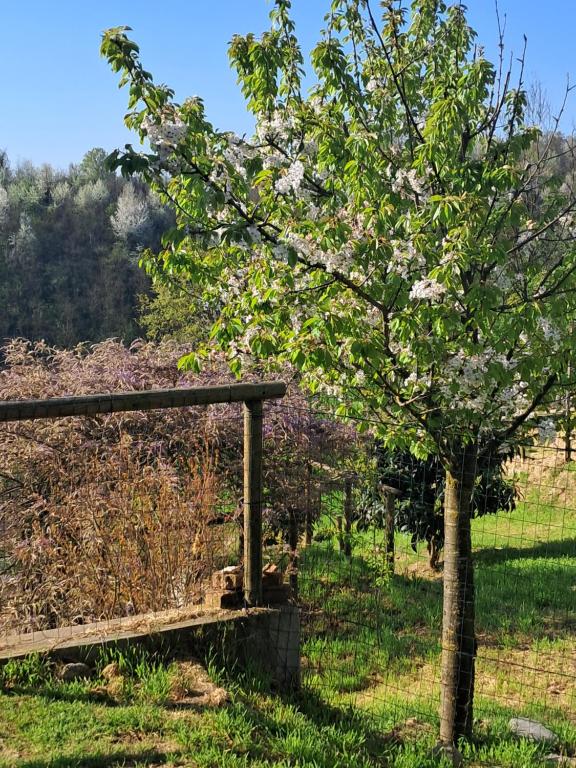 Zahrada ubytování Cascina Argo