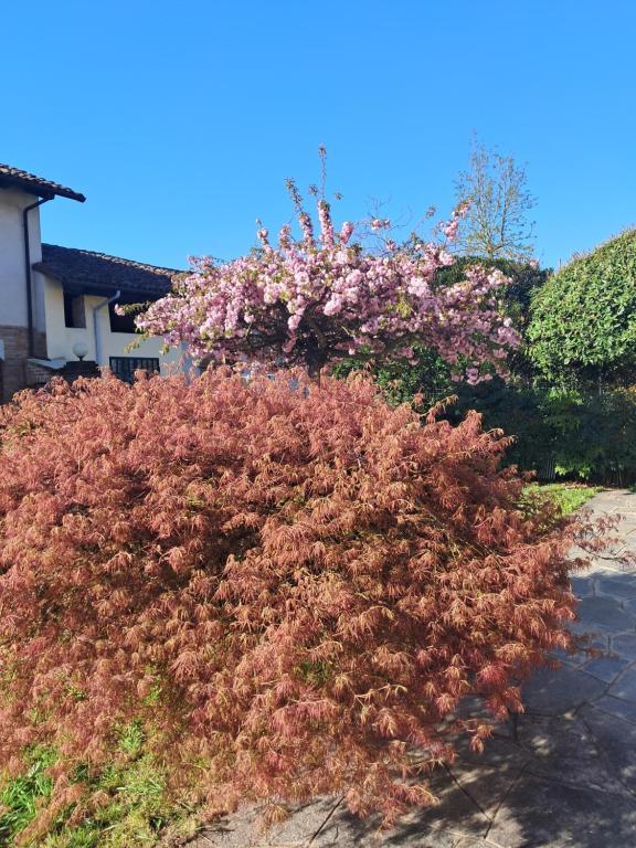 Zahrada ubytování Cascina Argo
