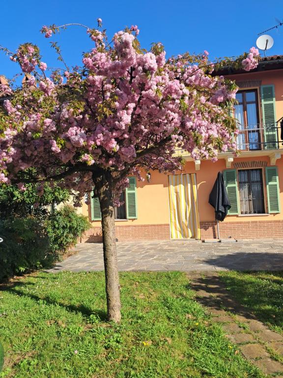 Zahrada ubytování Cascina Argo