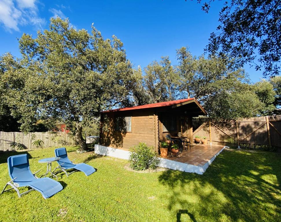 a yard with two chairs and a shed at Casita Louisa in Chiclana de la Frontera