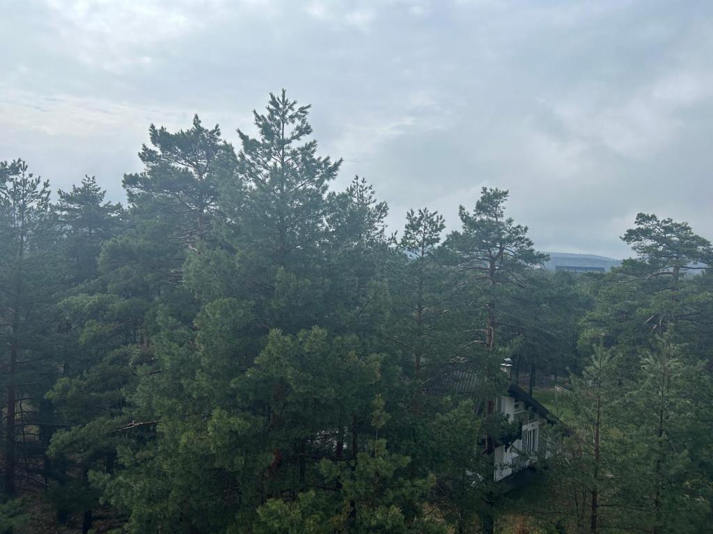 Paesaggio naturale nelle vicinanze dell'appartamento