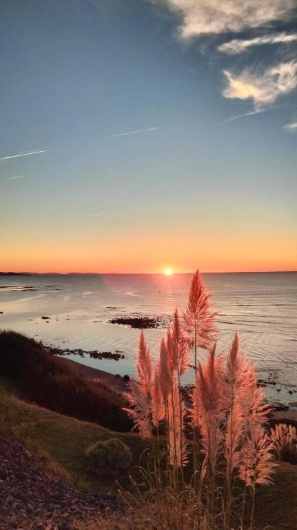 un coucher de soleil sur l'océan avec des plantes au premier plan dans l'établissement Lawrence House Barnes, à Bidart