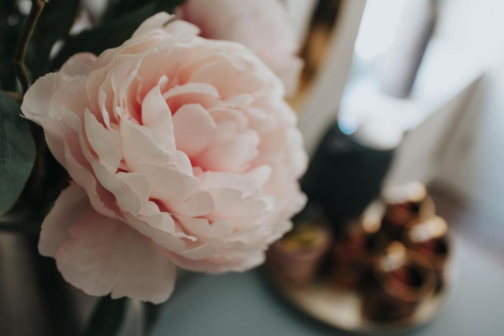 RST Bramley Boutique - Resim 42