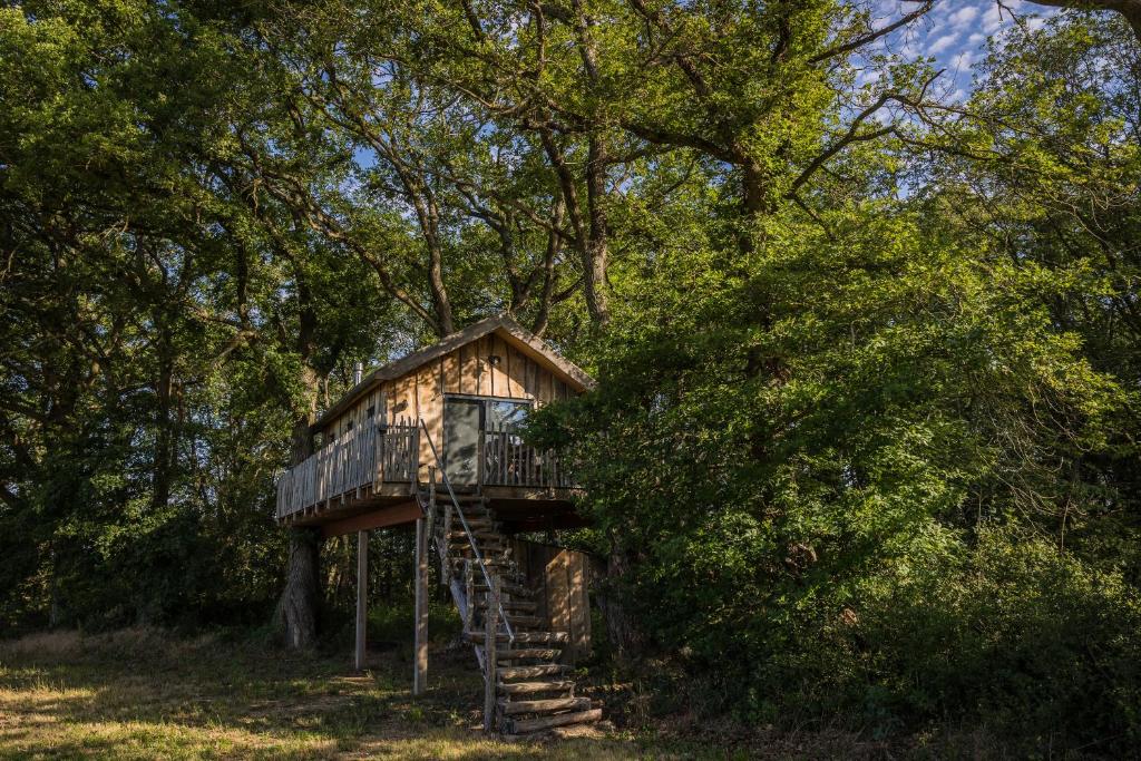 une cabane dans les arbres avec une échelle dans l'établissement Boomhuis Domaine Bonneblond, à Saint-Désiré