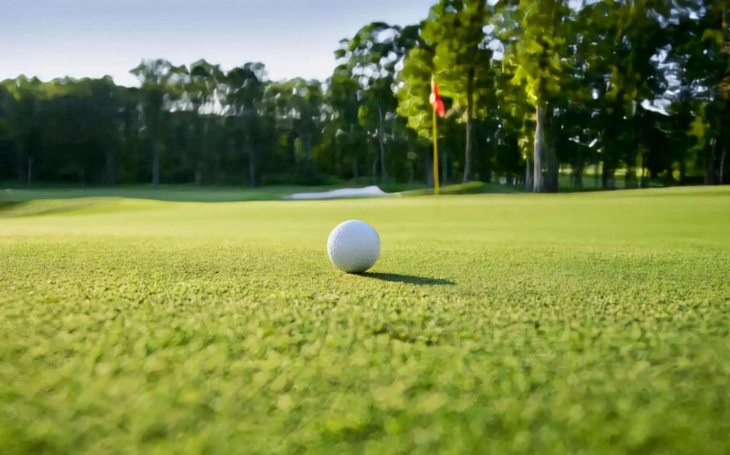 Golf v apartmánu nebo okolí