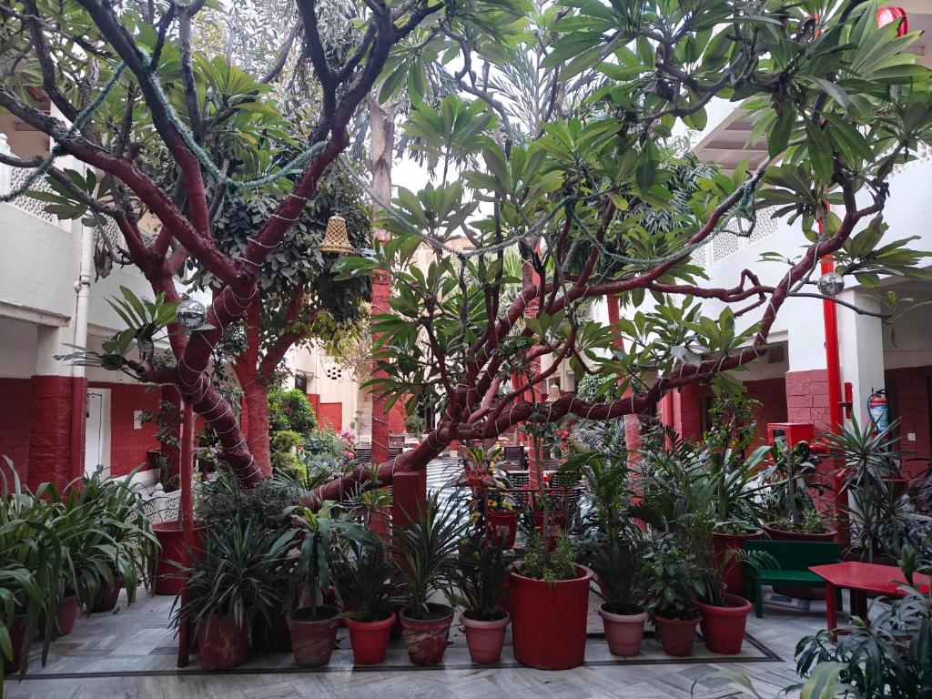 Zahrada ubytování HOTEL TOURIST REST HOUSE Agra