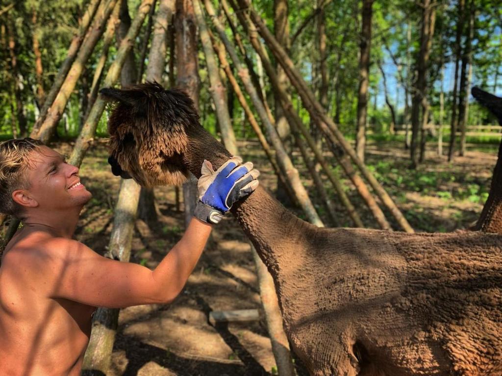Zvířata v luxury tent nebo okolí