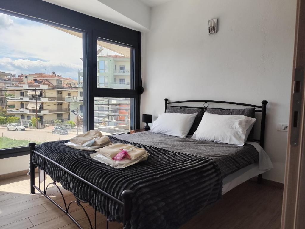 een slaapkamer met een bed met een groot raam bij Celin's Appartment in Tríkala