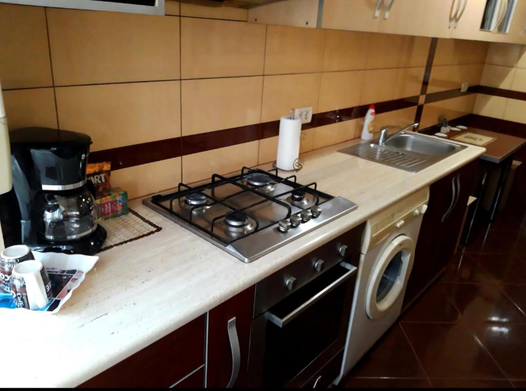 Kuchyň nebo kuchyňský kout v ubytování Apartament Alex