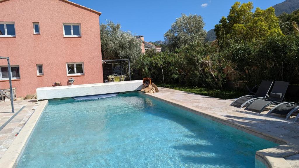 un chien se pose à côté d'une piscine dans l'établissement Gite El PACHA II 4 etoiles pres d'argeles sur mer au calme au pied des montagnes, à Laroque-des-Albères