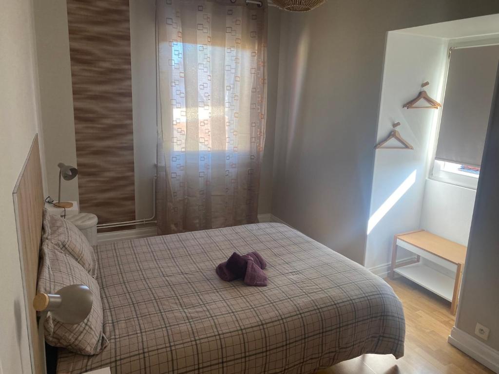 Le petit logelbach – photo 11