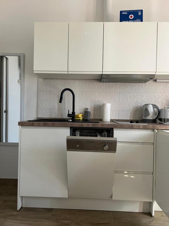 Kuchyňa alebo kuchynka v ubytovaní Pearl Apartment Pula