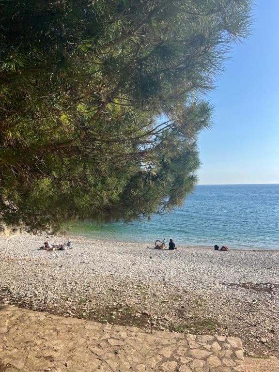 Príroda v okolí apartmánu